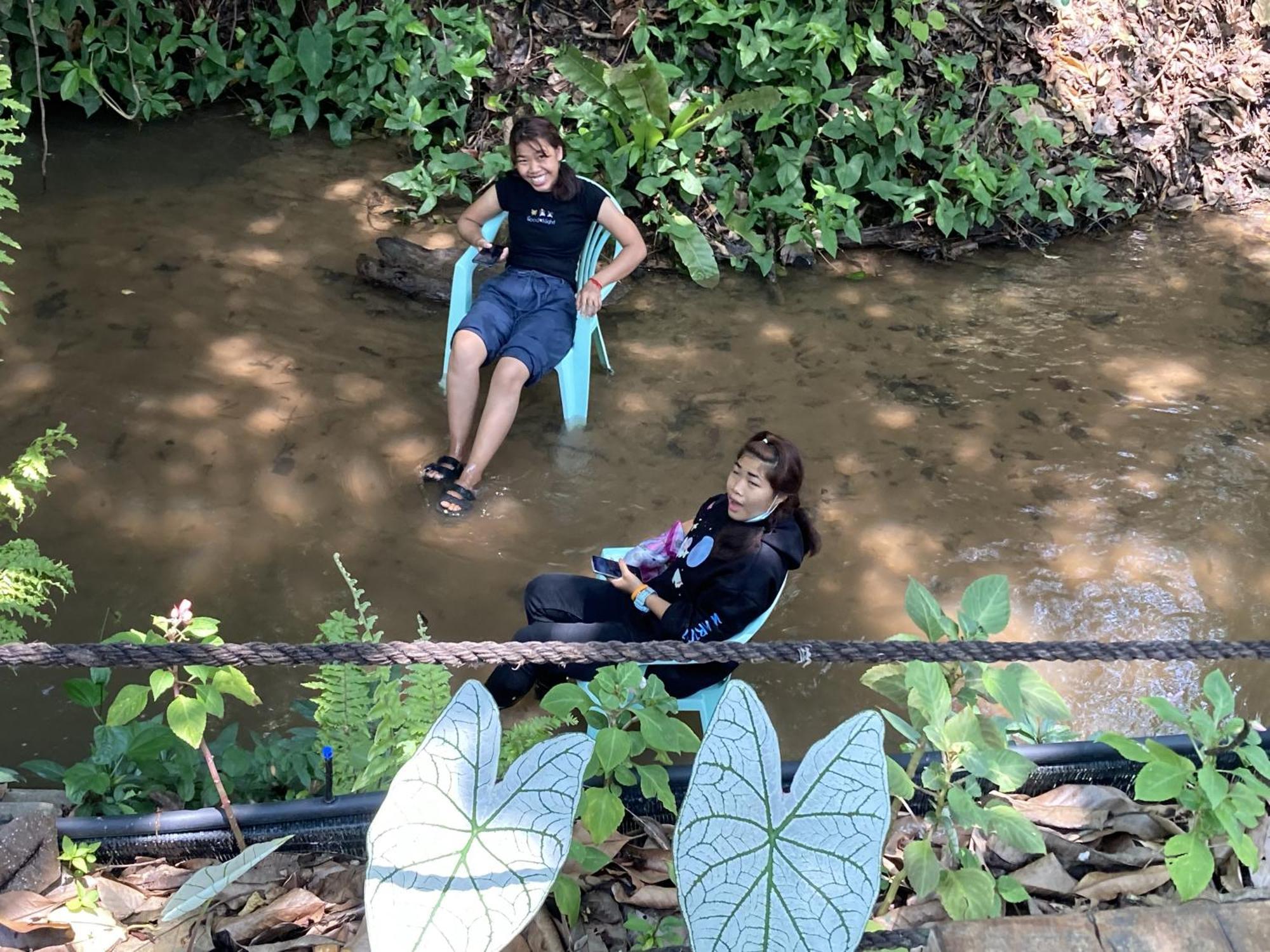 Maesa Greenery Hill Sha Mae Rim Eksteriør bilde
